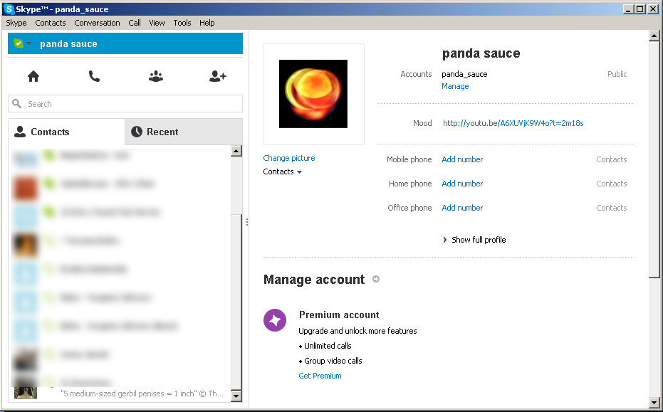 What Skype looks like starting version 6.3